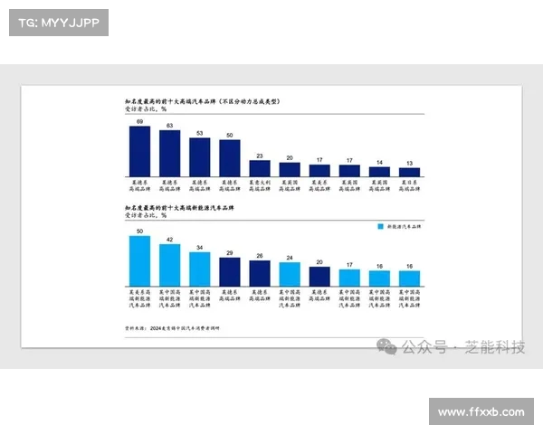 打造全方位品牌曝光策略提升市场认知度与用户忠诚度的有效途径